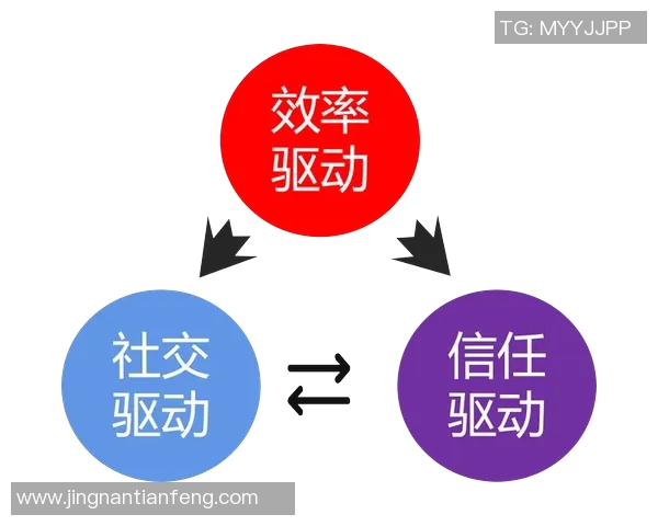 上海排球队的比赛经验揭秘与排球巨献的深度探讨