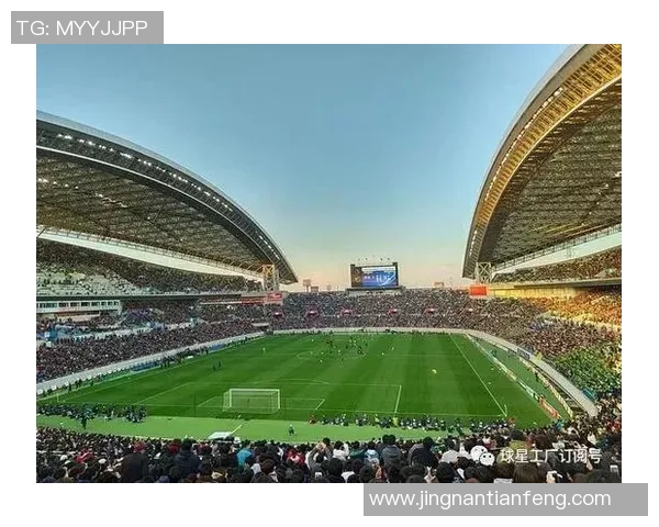 江苏足球明星李红兵的传奇之路与对中国足球的深远影响